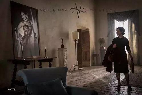 墙里的声音在线观看,揭秘禁锢中的真实故事  第3张